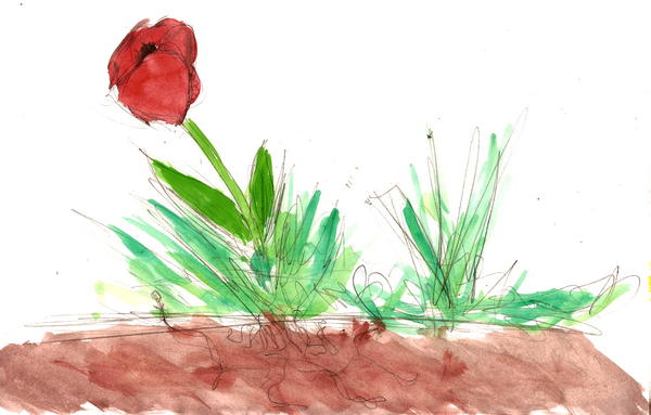 Matt Marcha - Vrac - Coquelicot