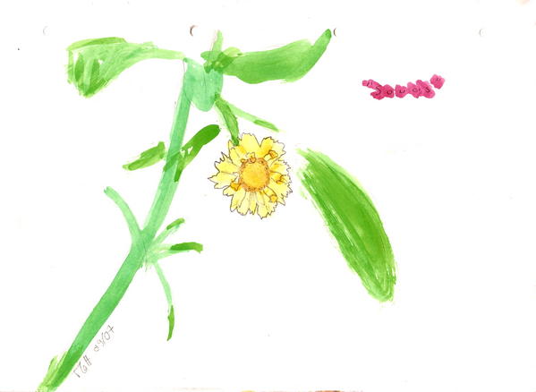 Matt Marcha - Vrac - Soucis