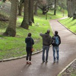 Vallon accès centre ville - visite d'Auckland